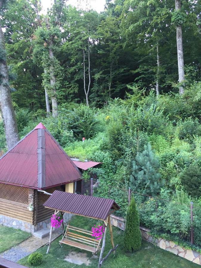 U Lyudmily Villa Karpaty Eksteriør billede