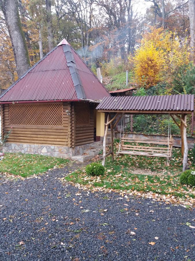U Lyudmily Villa Karpaty Eksteriør billede