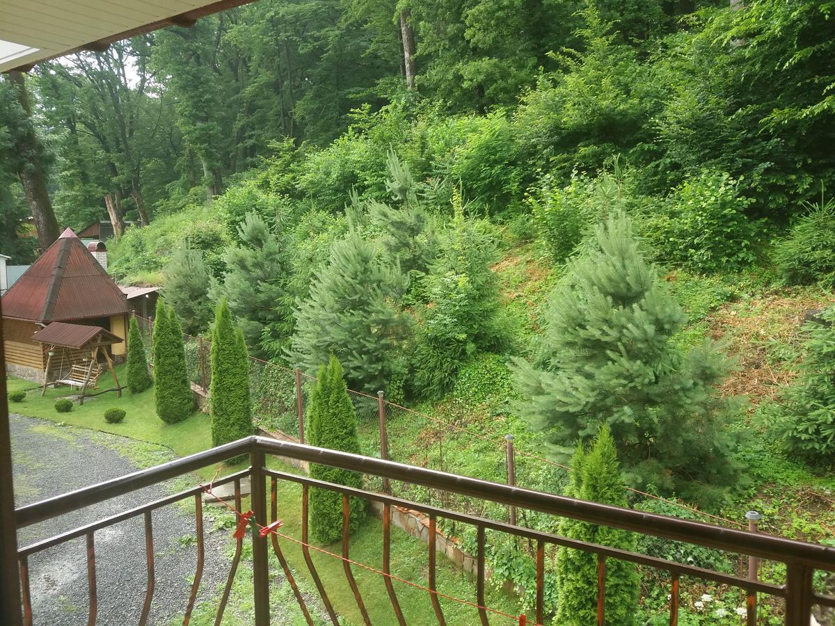 U Lyudmily Villa Karpaty Eksteriør billede